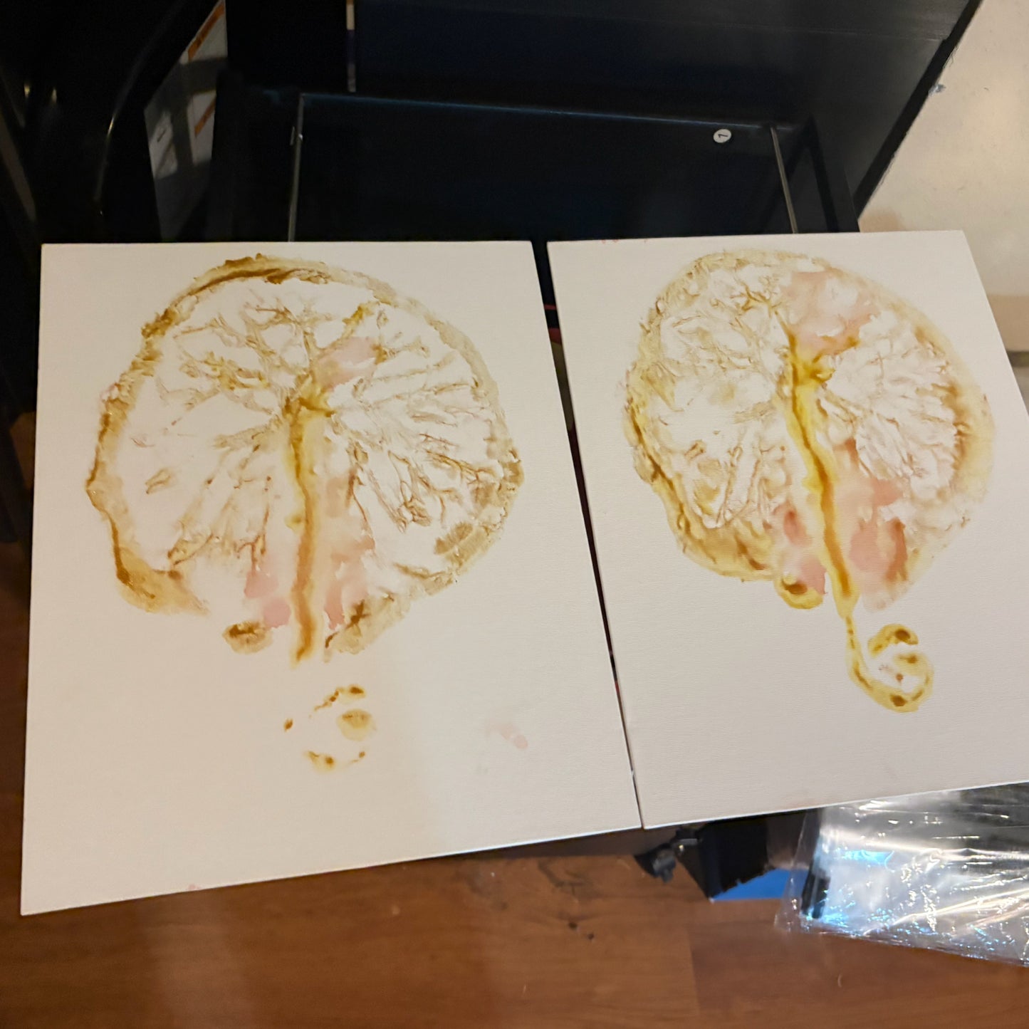Placenta Preparation
